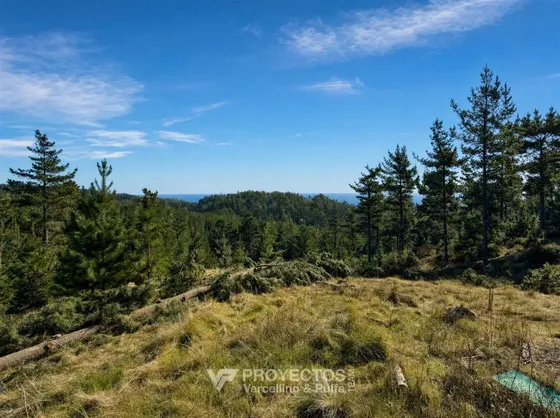 Sitio En Venta En Loteo Alto Boyeruca, Comuna Vichuquén