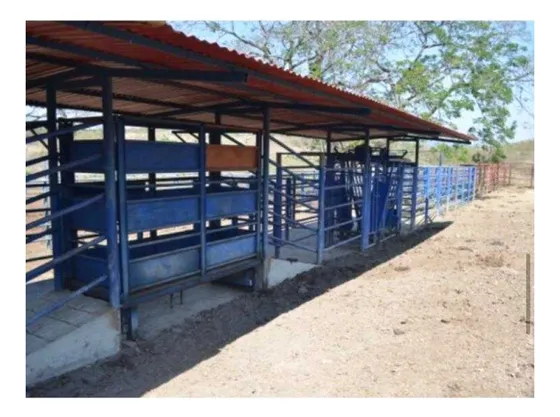 En Venta Extensa Finca Ganadera De 581 Hctas Con Lagunas En Tinaquillo