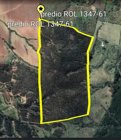 Terreno En San Carlos.