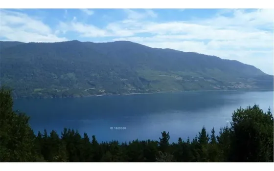 Parcela Con Vista Privilegiada Al Lago Riñihue
