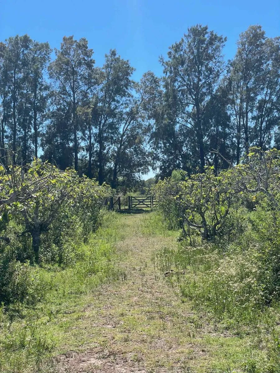 Lot/Land for Sale in Baradero
