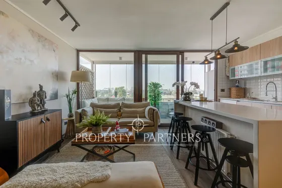 Departamento Moderno En Providencia Manuel Montt