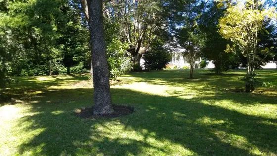 Sitios En Villa Doña Isidora, Camino Antuco.