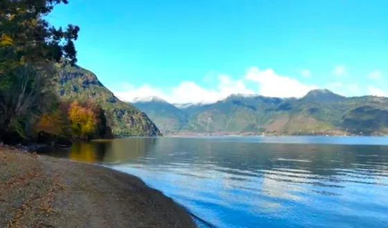 Parcela Orilla Lago Colico Con 35 Mt De Playa. Rivera Norte.