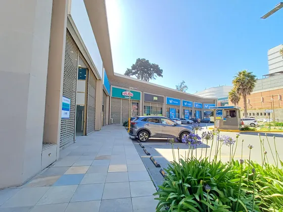 Arriendo De Local Comercial En Viña Del Mar Id. 81.831-lin