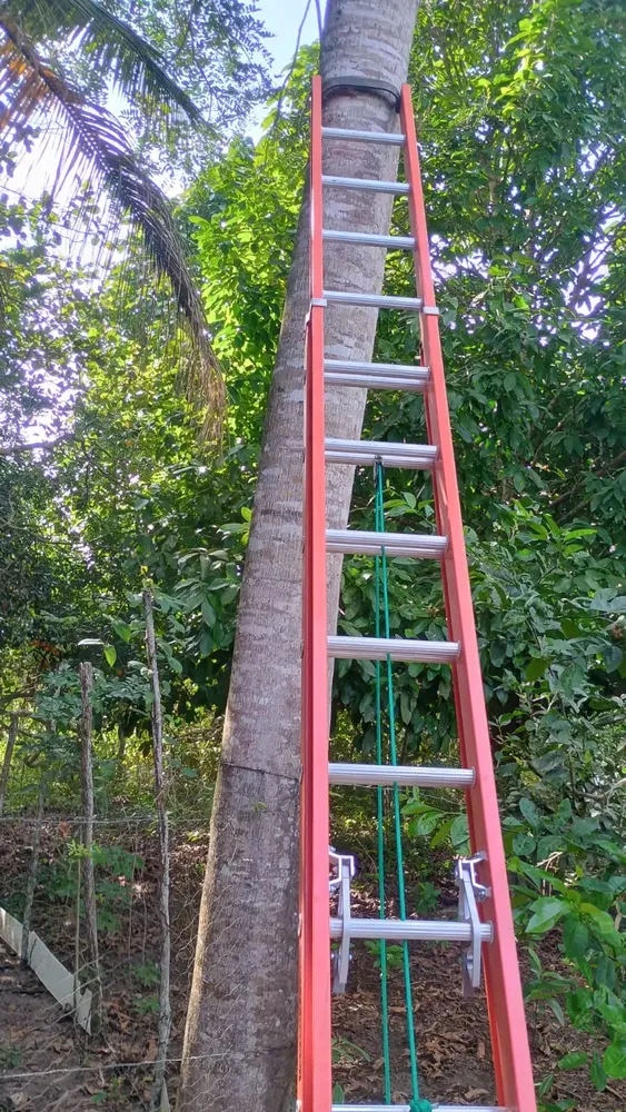 Foto da avaliação 3