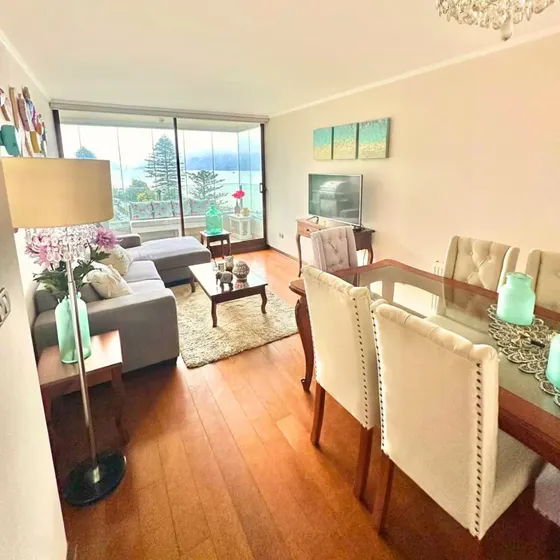 Arriendo Departamento Con Vista Maravillosa En Concepcion