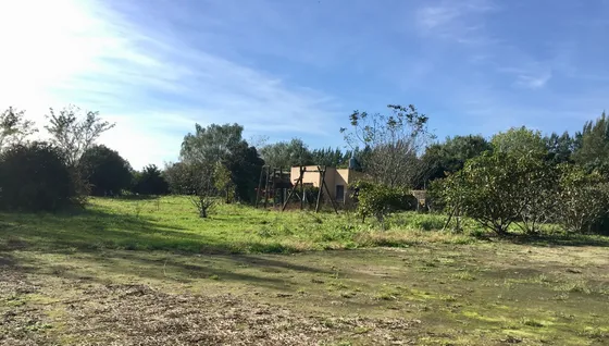 Casa Remodelada A Estrenar, Con Patio Y Jardín. Con Opción A Tanque Australiano. 