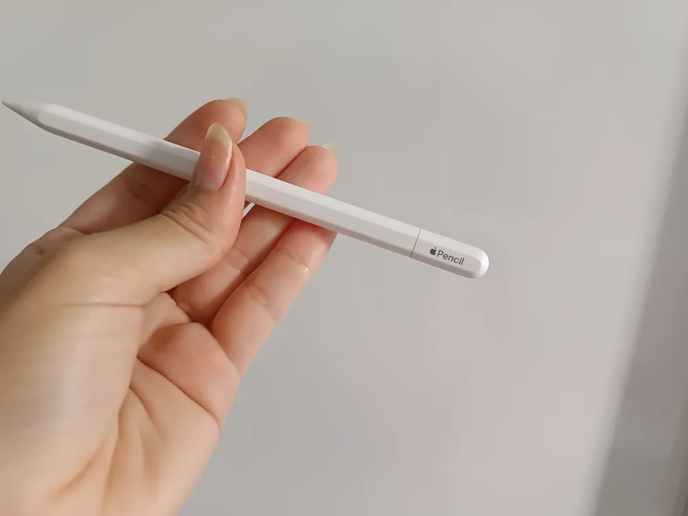Apple Pencil (usb-c) Para Ipad | Frete grátis