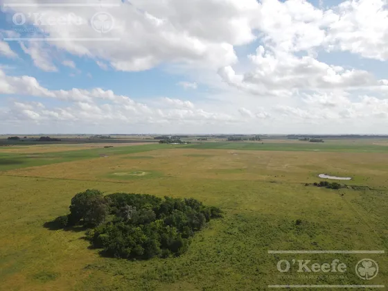 Campo En Venta De 300 Has En Pila