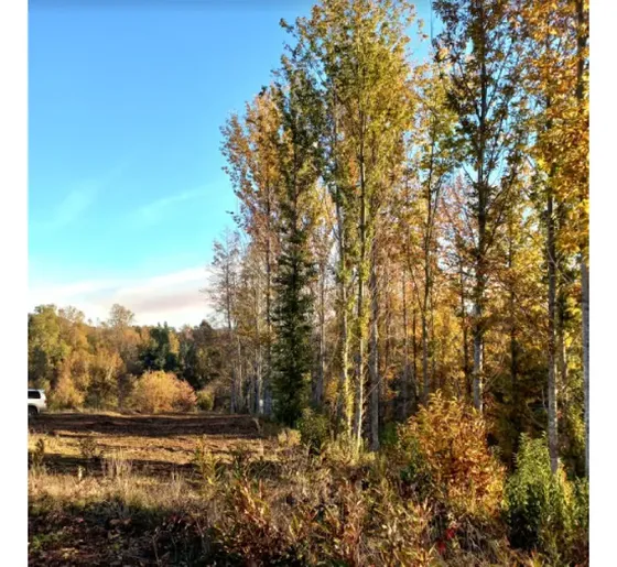 Venta Parcela Villarrica Alto
