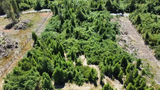 Se Vende Terreno En Puerto Octay, Región De Los Lagos