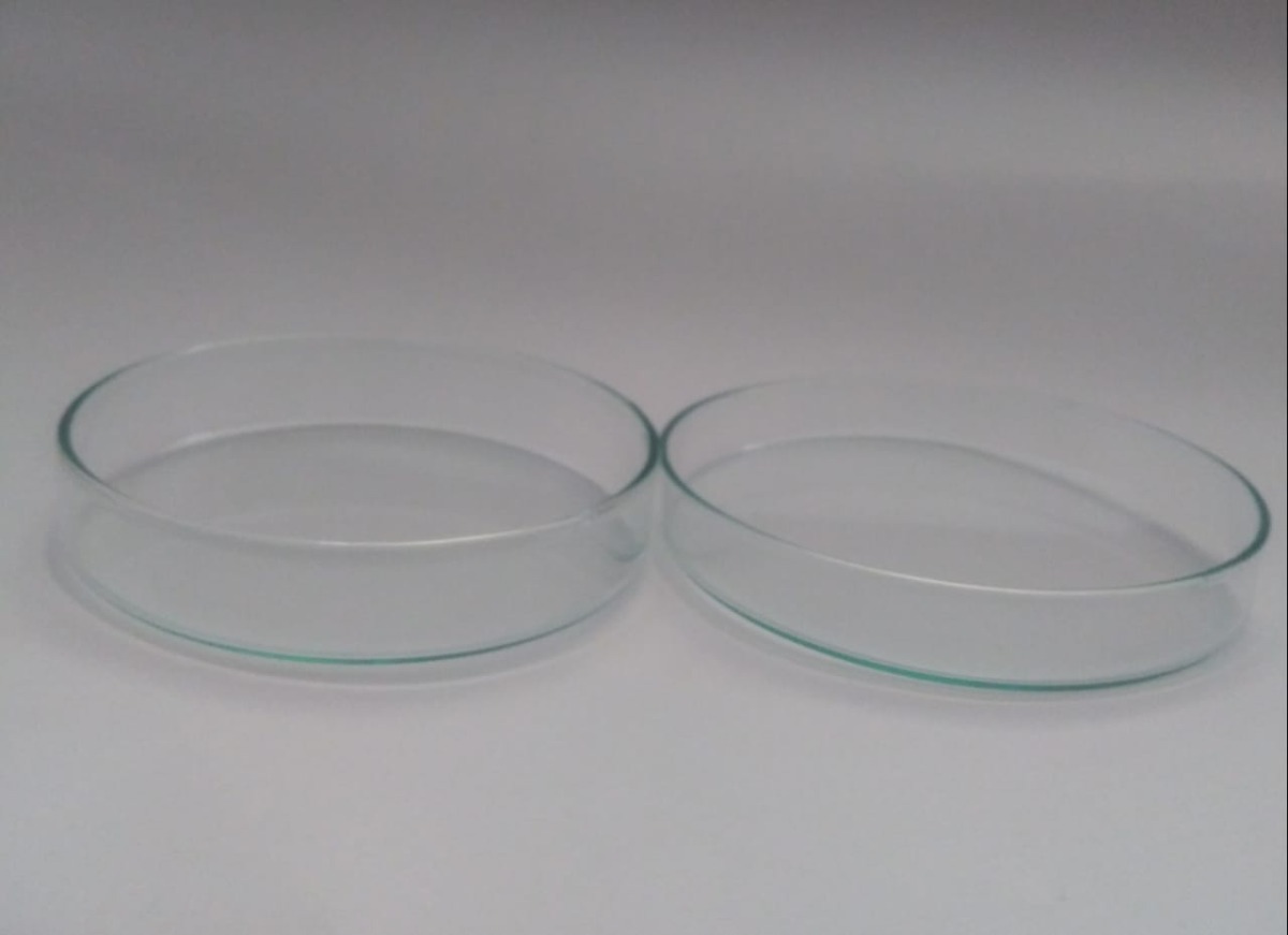 Que Es Una Caja De Petri Caja Petri De Vidrio 100x20mm Uso Laboratorio | MercadoLibre