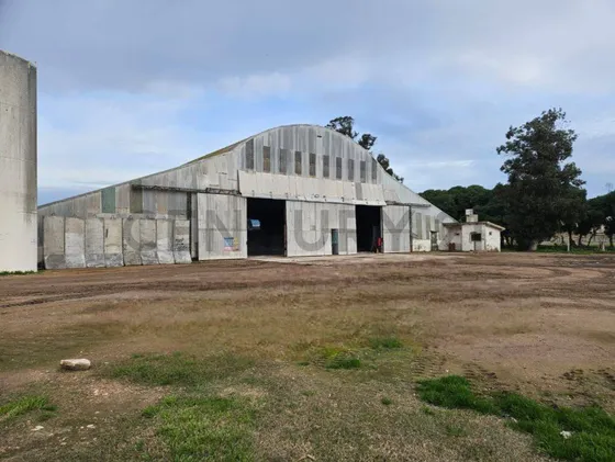 Alquiler De Galpón, Planta, Depósito, Celda, En Quequén 2500m2 Para Uso Mixto: Cereales
