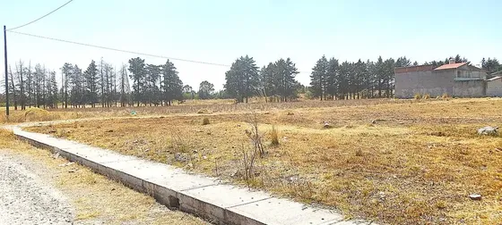 Venta De Terreno  Barbabosa Cerca Toluca Centro  | MercadoLibre