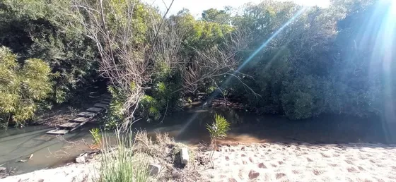 Quinta En Venta En Maldonado