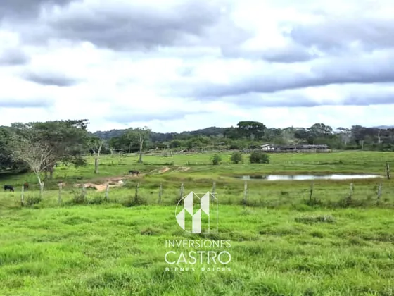 En Venta: Espectacular Finca De 172 Ha. Ubicada En Caruachi - Sector El Retumbo 2, A 1 Hora De Puerto Ordaz.