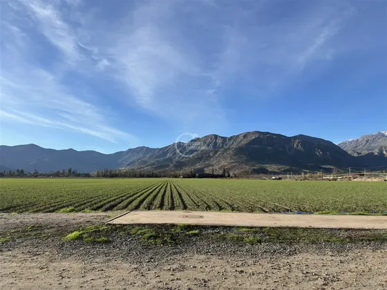 Agrícola En Venta En Catemu