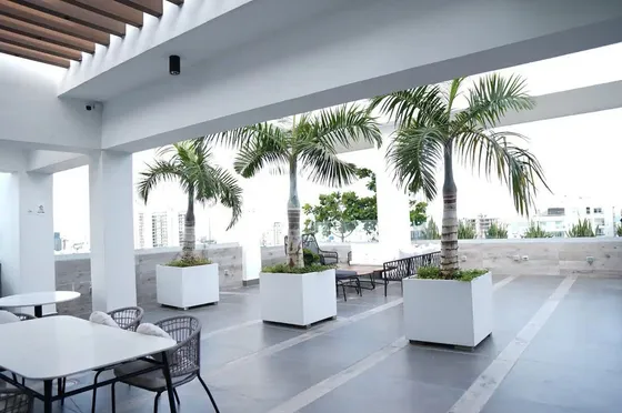 Apartamento En Alquiler, En Piantini