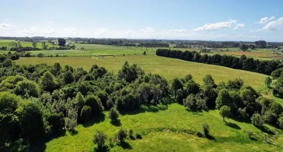 Parcelas A 3 Minutos De Paillaco, 40 Minutos De Valdivia