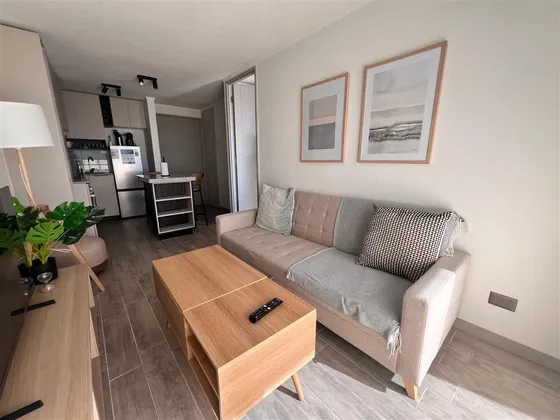 Departamento En Arriendo En Santiago