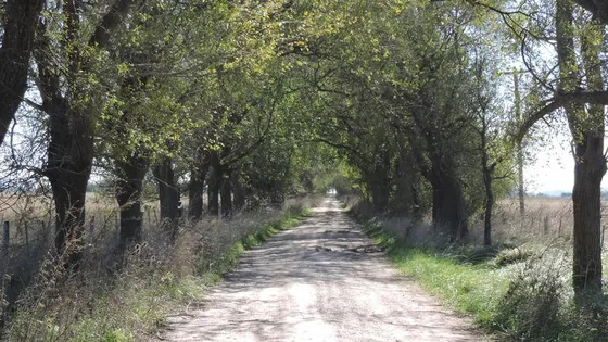 Campo En Venta 360 Has En Magdalena. Apto Agrícola
