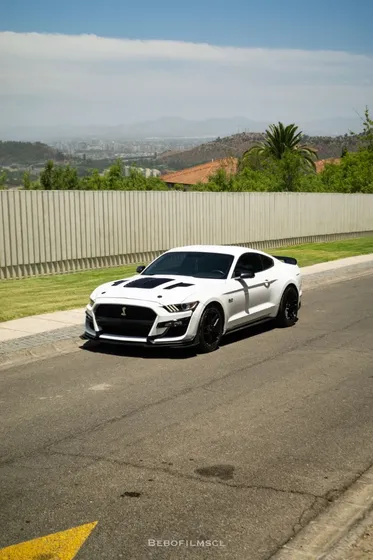 Ford Mustang Coupe Gtd Deluxe 5.0l