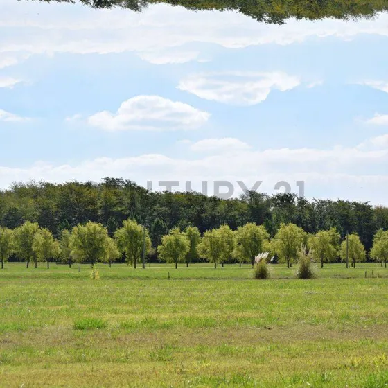 Venta De Lote 70 En Campos De Roca Ii. 2365m2