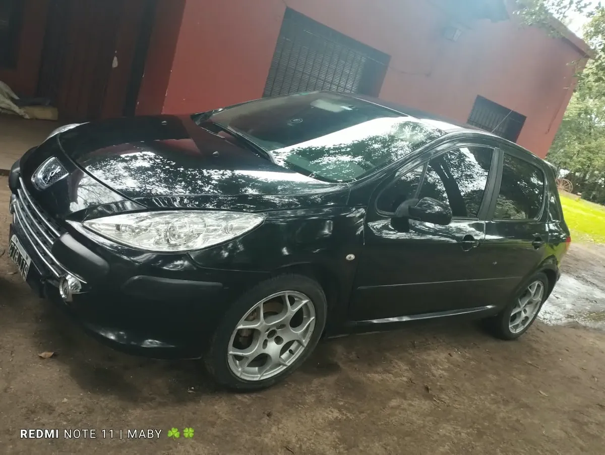 Peugeot 307 1.6 Xs