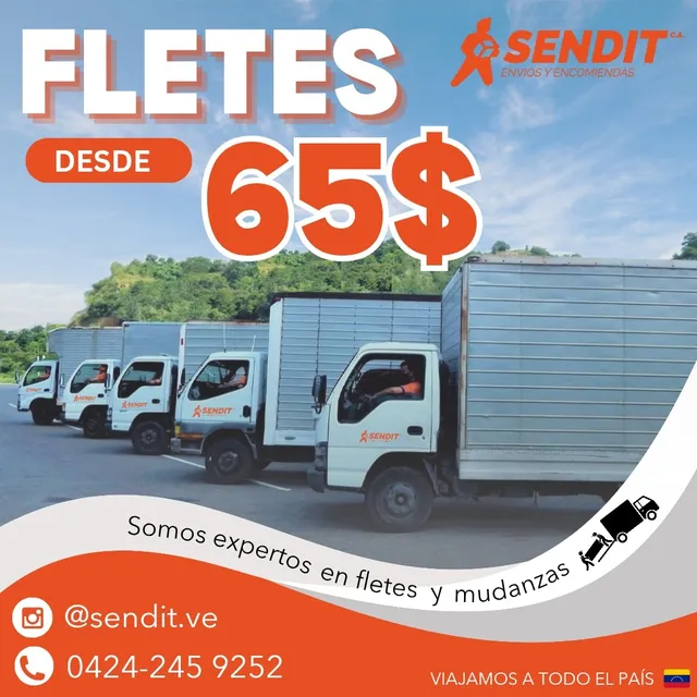 Fletes, Viajes Y Mudanzas. Precios Impelables.