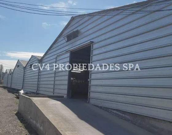  Bodega O Galpón En Paine