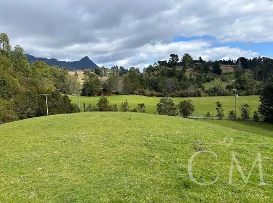 Hermoso Terreno En Sector Ilihue, Lago Ranco