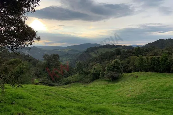 Lote En La Calera Ideal Para Glamping 7 Hectareas Y Espectacular Vista-8274 (8274).