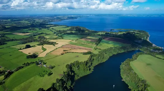 Venta De Campo Subdividido En Puerto Varas Id. 84.889-cam