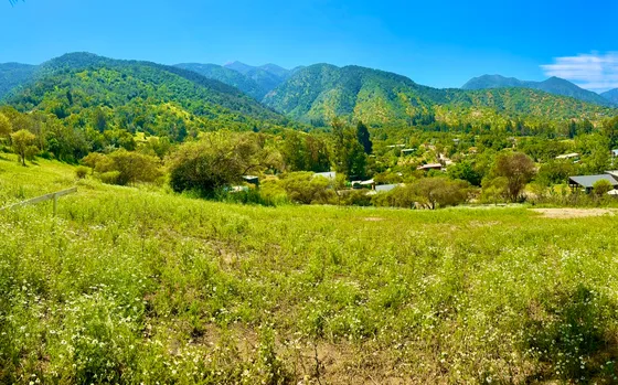 Venta Terreno - Sitio 4624mts Olmué
