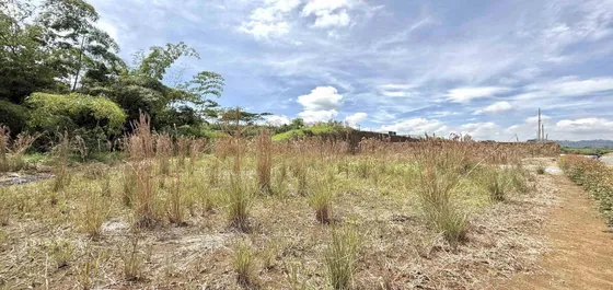 Lote En Venta En La Praderda/dosquebradas  (279061786).