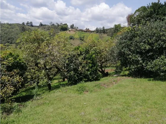 Encantadora Finca En Venta San Vicente 