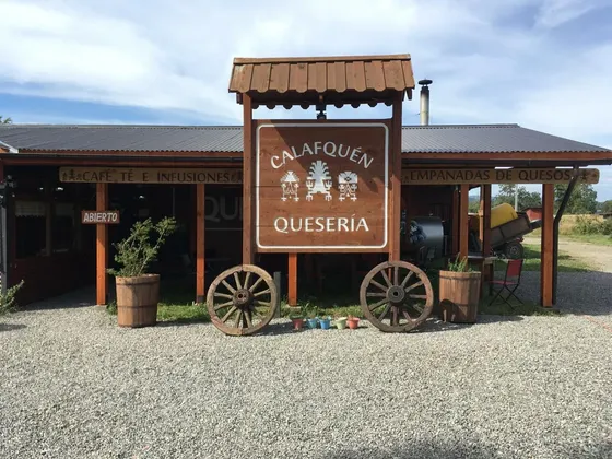 Planta Industrial 5.000 M2 Frente A Ruta Ch-203, Panguipulli