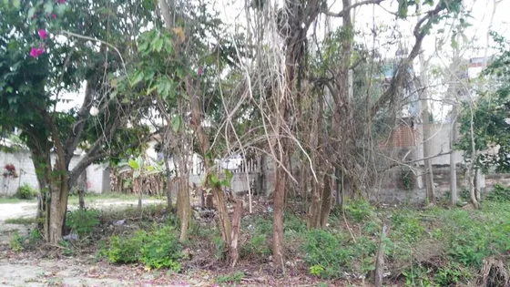 Venta Terreno 400 M² Col. El Romance Tuxpan Veracruz