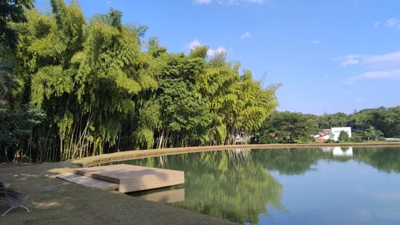 Arriendo Apartamento En Oceano Verde Jamundi