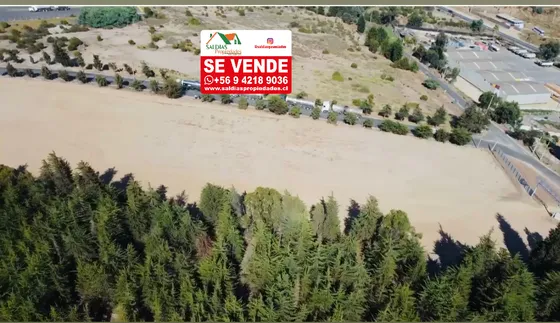 Arriendo O Venta Desde 1 Hectárea 