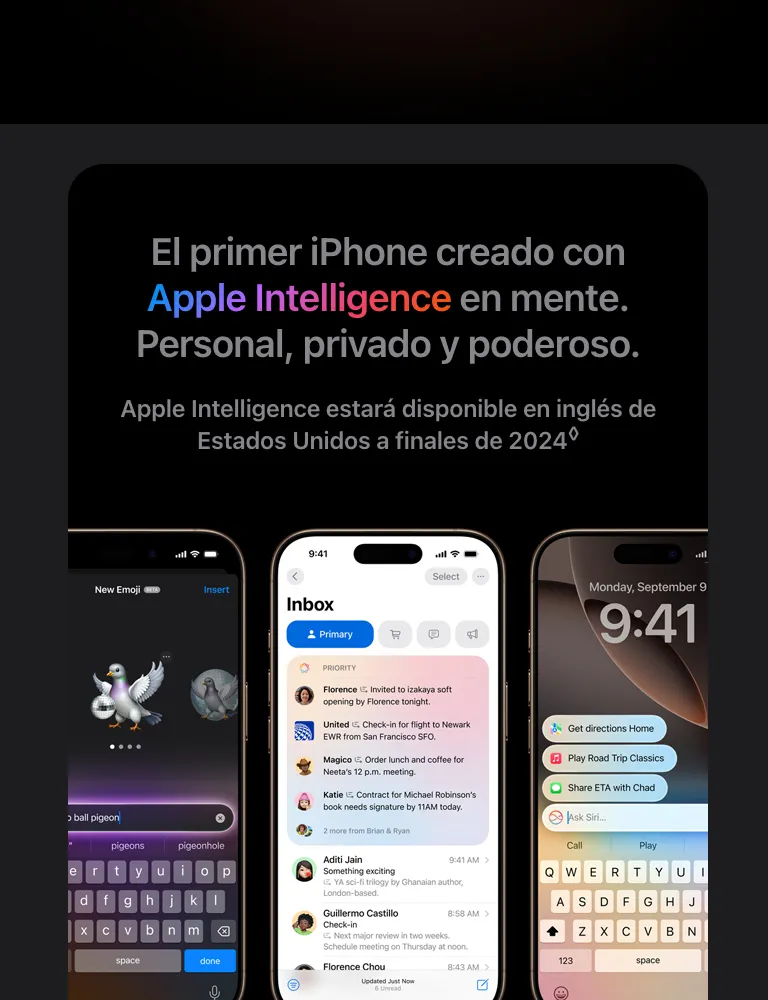 descripción