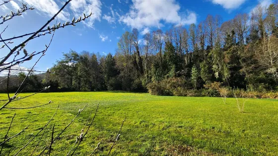 Parcela En Venta En Valdivia