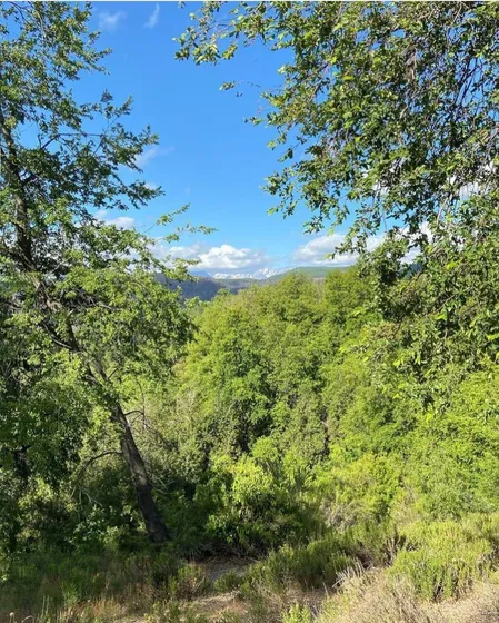 Parcela En Venta En Molina