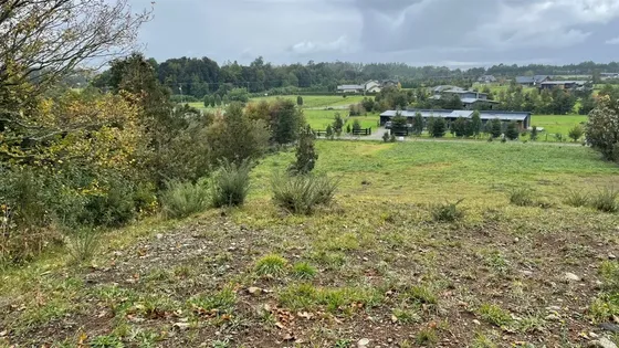 Parcela En Venta En Puerto Varas