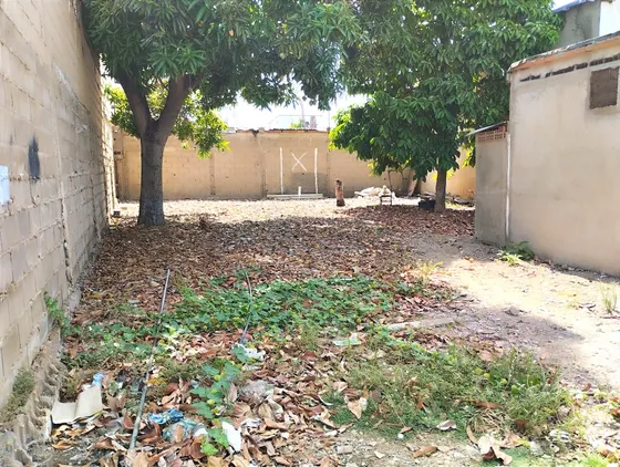 Alquiler De Terreno En Casco Central De Lecheria