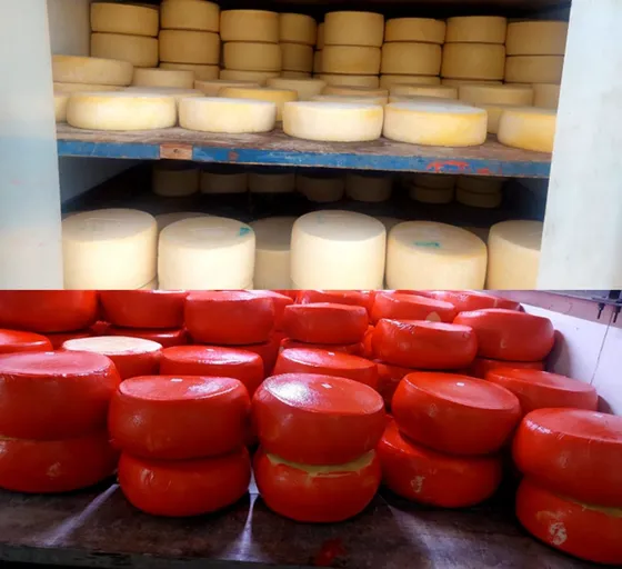Venta De Llave Distribuidora De Quesos En Malvin