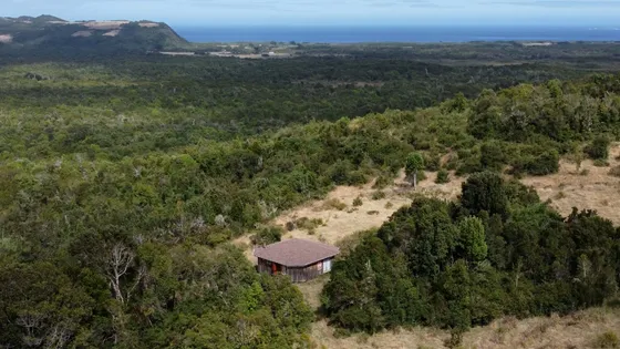 Campo En Quenuir  Huapache  Maullín - Región De Los Lagos