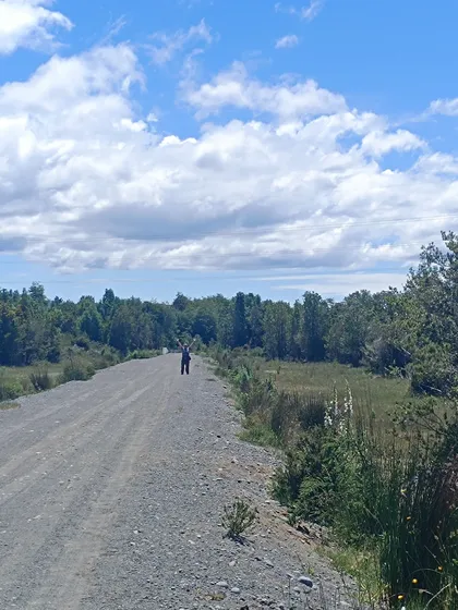 Se Arrienda Media Hectárea Al Lado De Carretera Castro