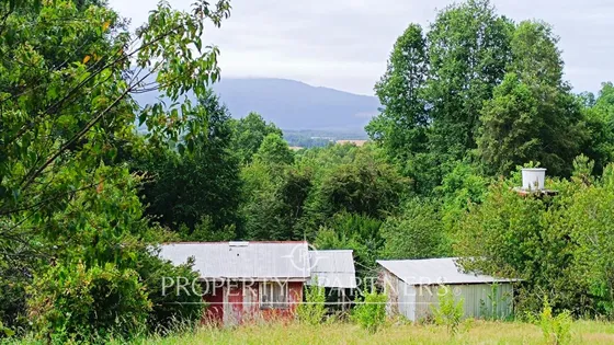 Parcela Con Cabaña Y Bosque Nativo A Solo 20 Minut...